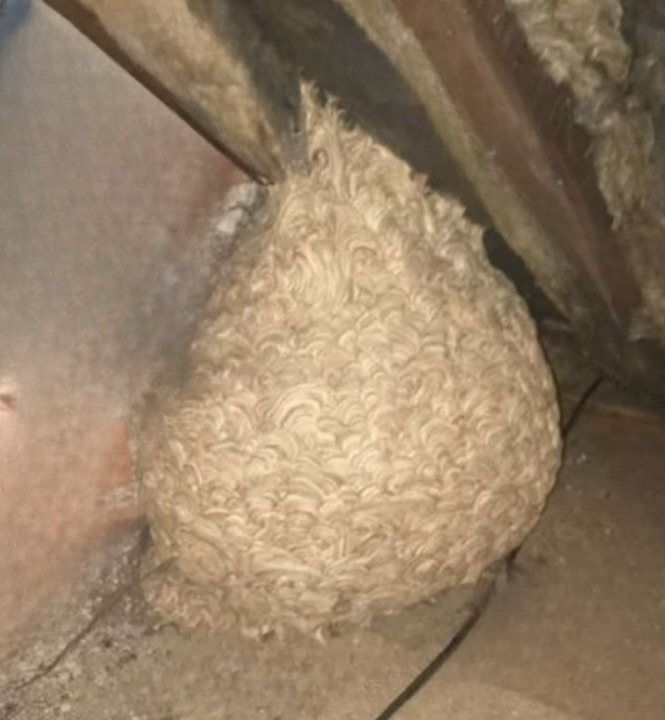 The Colors That Captivate: What Your Visual Preferences Reveal About Your Inner World