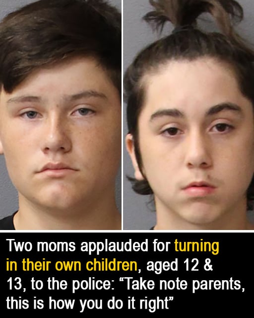 Florida Moms Call Cops on Sons After $50K School Damage: A Story of Accountability, Community, and Consequences