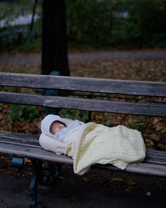 I Found a Baby on a Cold Morning — What Happened Next Left Everyone Speechless