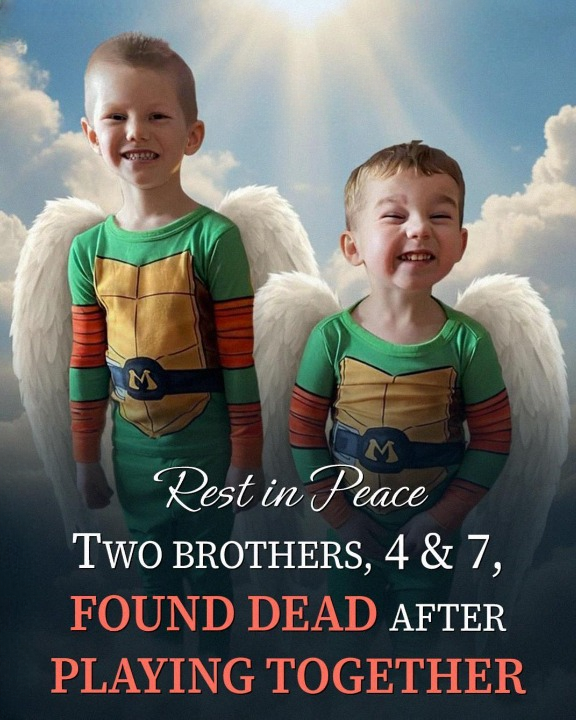 Two Young Brothers Vanish During Family Outing — The Truth Behind the Tragedy in Johnson County