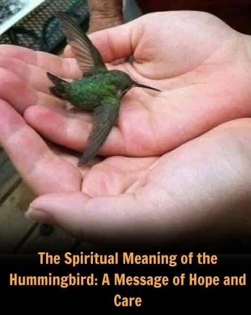 The Deeper Meaning Behind a Hummingbird’s Visit: Nature’s Tiny Miracle
