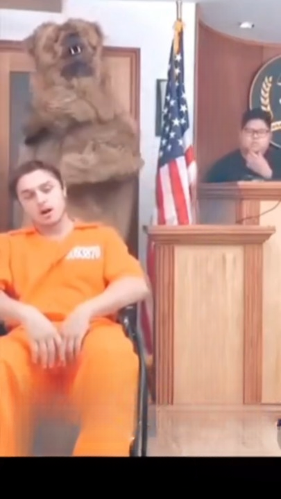 When a Wheelchair Became a Lie: The Courtroom Moment That Shook Everyone