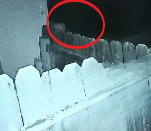 A Georgia Neighborhood in Shock: Reflections on Safety, Responsibility, and the Choices That Shape Our Youth