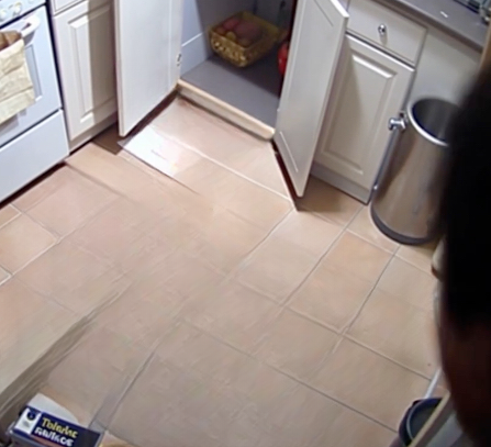 The Call That Changed Cedar Falls Forever: A Story of Courage, Truth, and Renewal