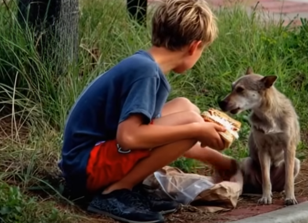 My Son’s Secret Act of Kindness Led to a Life-Changing Discovery