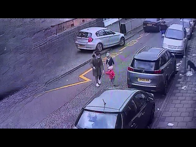 Understanding and Preventing Dog Attacks on Children: A Comprehensive Guide