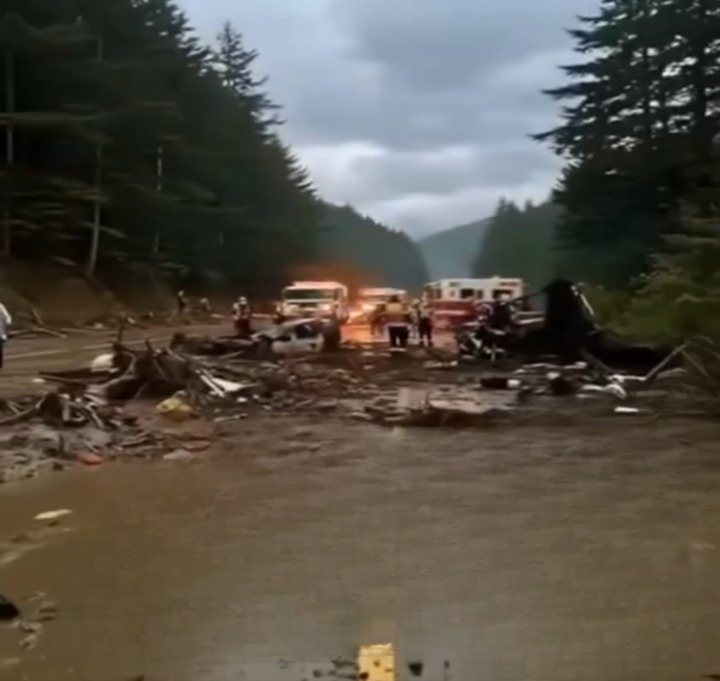 Remembering Jonathan “Johnny” Reynolds: A Musical Legacy That Transcends Generations