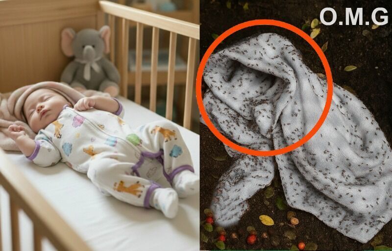 Newborn abandoned and full of…