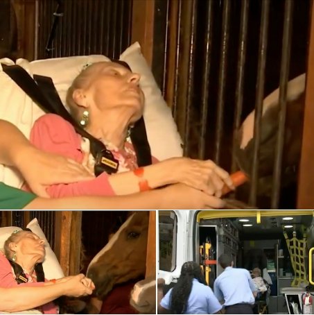 Hospice grants dying 79-year-old woman’s final wish – to see her beloved horse one last time