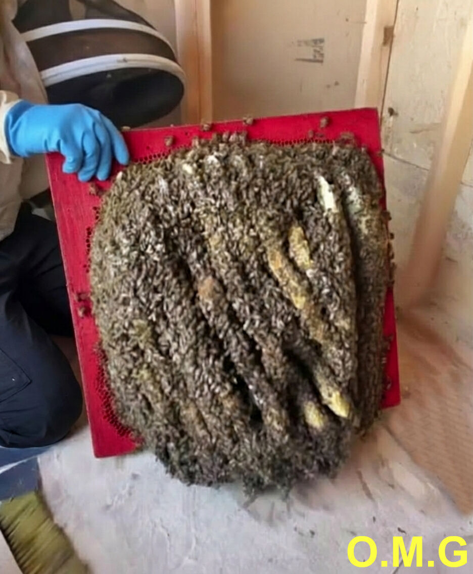 Since we recently bought this house, everything seemed perfectly fine