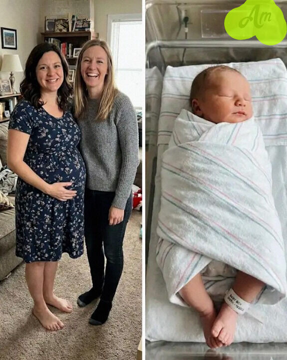 The Intended Mother Refused to Take the Baby I Carried — The Truth Behind It Nearly Tore Three Families Apart