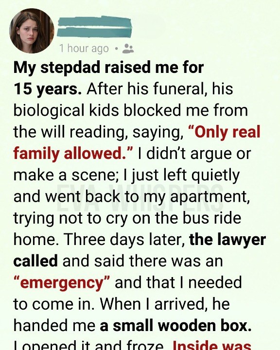 I Was Asked to Step Out During My Stepdad’s Will Reading—Then Three Days Later, the Lawyer Reached Out to Me